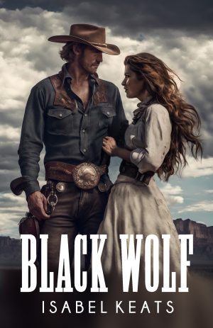 cowboy romance book cover